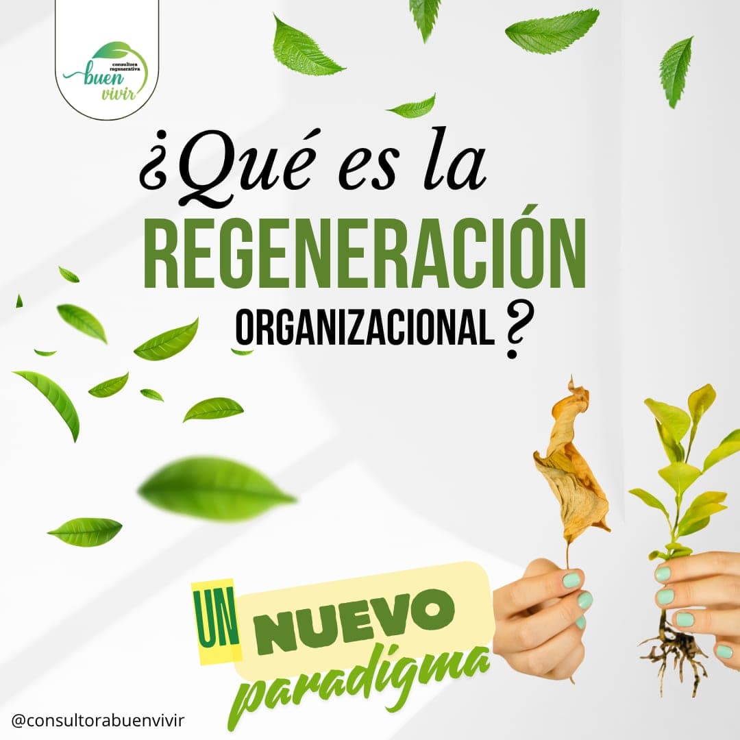 Publicación 1 sobre regeneración organizacional