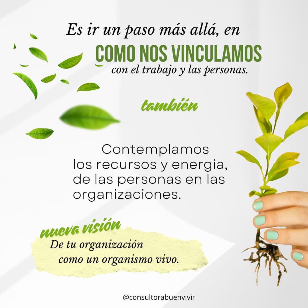 Publicación 2 sobre regeneración organizacional