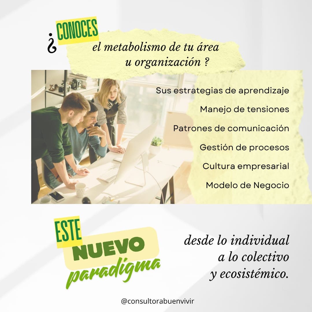 Publicación 5 sobre regeneración organizacional