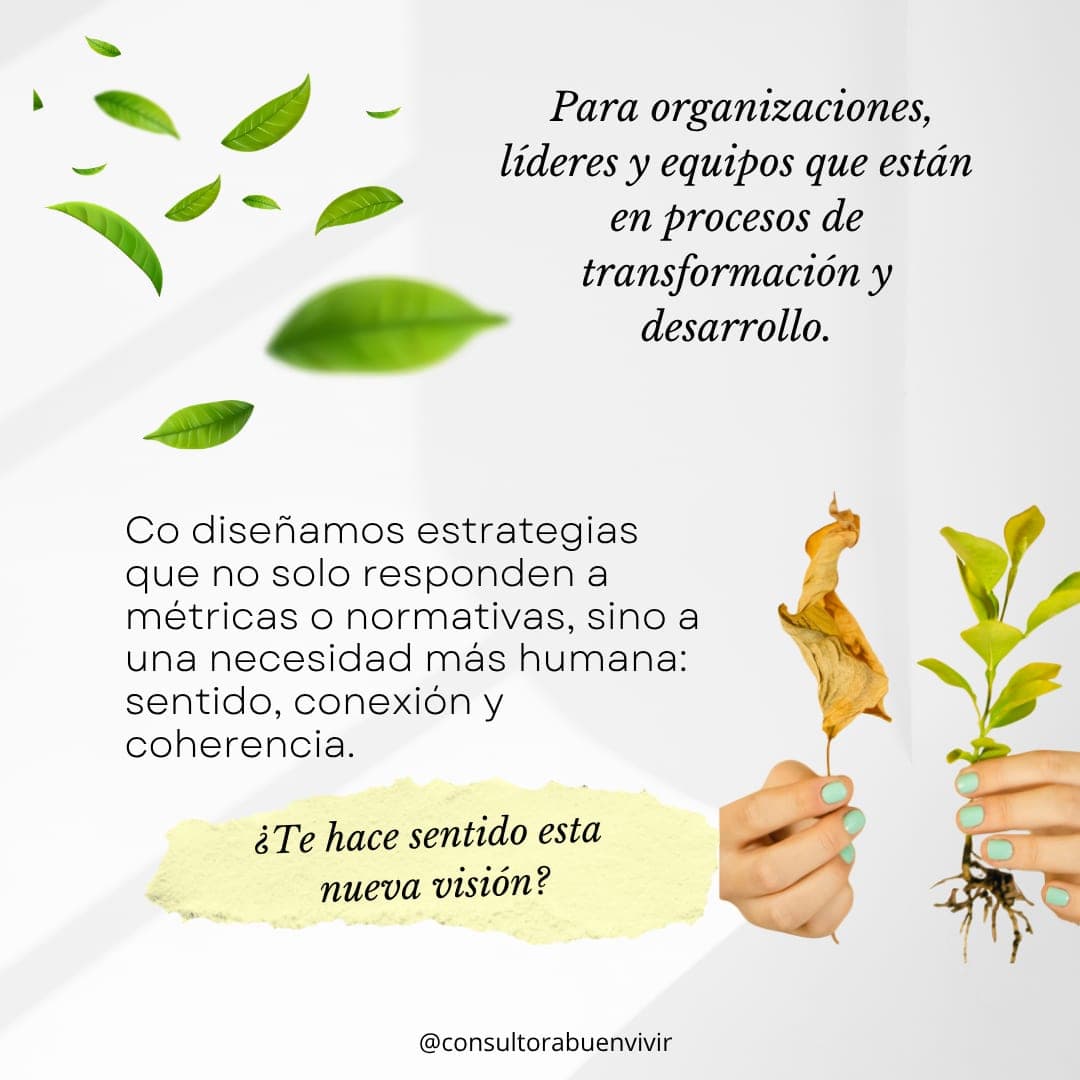 Publicación 6 sobre regeneración organizacional